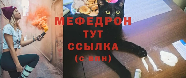 крисы Абаза