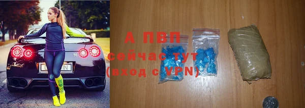 крисы Абаза