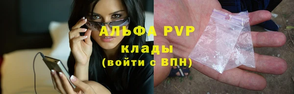 крисы Абаза