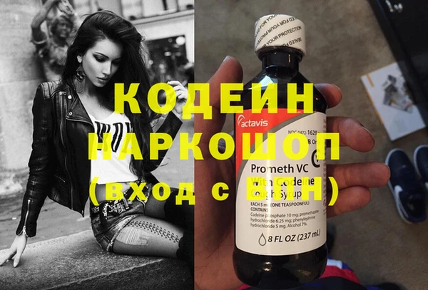 крисы Абаза