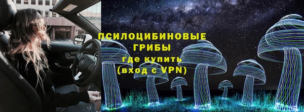 крисы Абаза