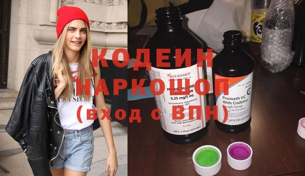 крисы Абаза