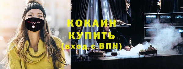 крисы Абаза