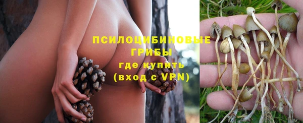 твердый Абдулино