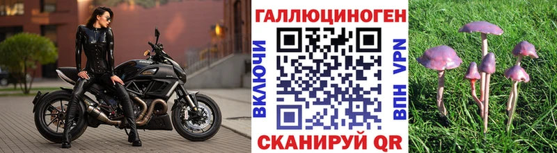 гидра ссылки  Лысьва  Псилоцибиновые грибы прущие грибы 