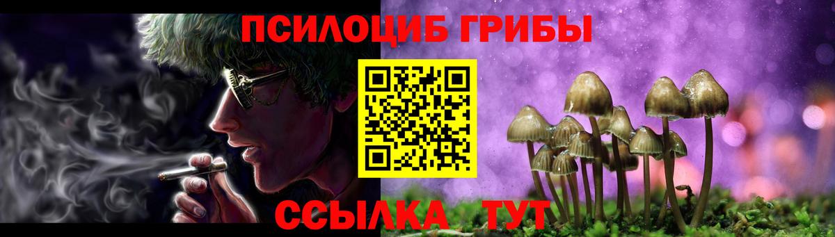 Псилоцибиновые грибы мицелий Лысьва
